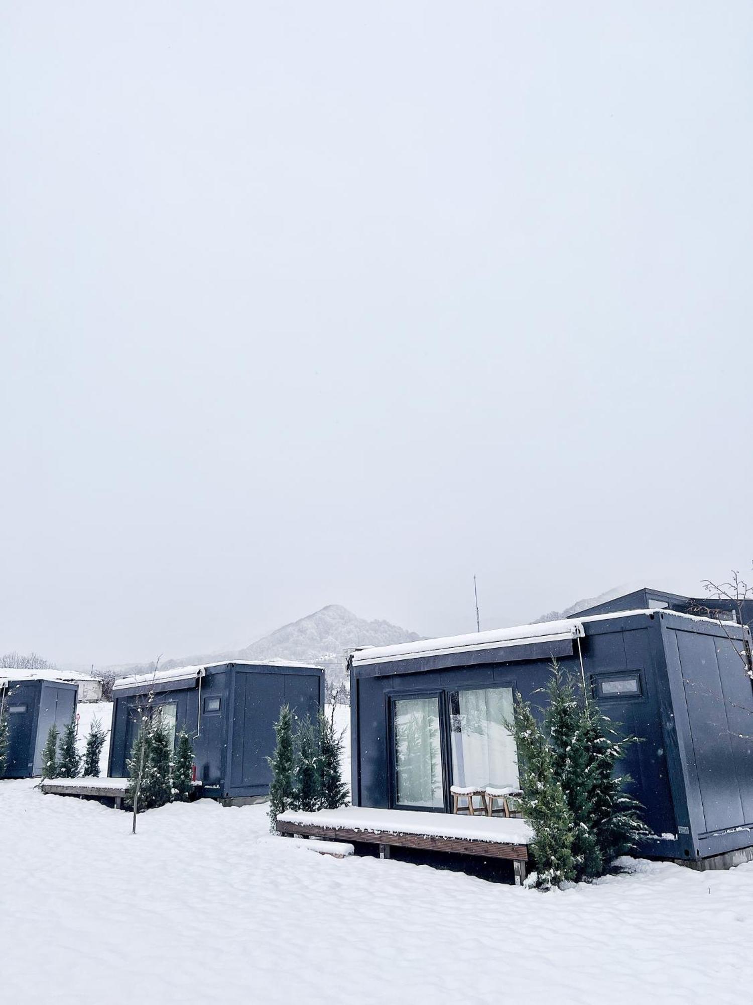 Flandra Glamping Hotell Corbeni Eksteriør bilde